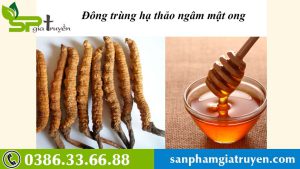 dong-trung-ha-thao-ngam-mat-ong