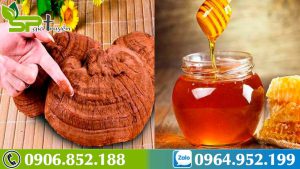 nam-linh-chi-ngam-mat-ong