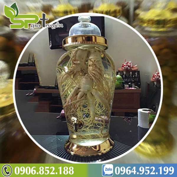 ngam-ruou-re-cay-chum-ngay