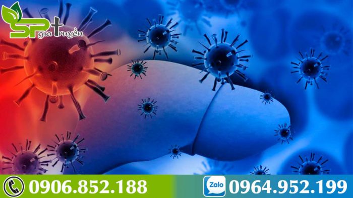 nguyen-nha-dan-den-viem-gan-a