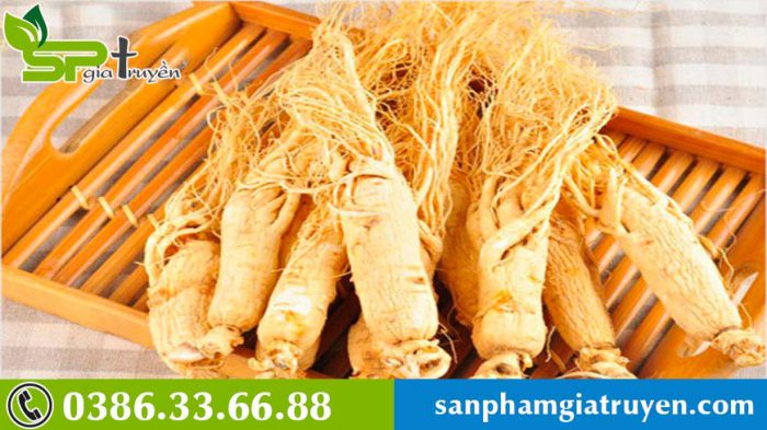 phan-biet-hong-sam-va-nhan-sam