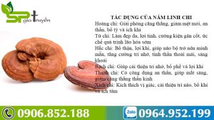 tac-dung-phu-cua-nam-linh-chi