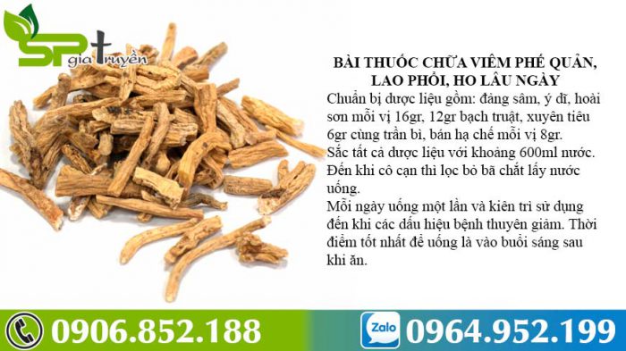 bai-thuoc-tu-dang-sam