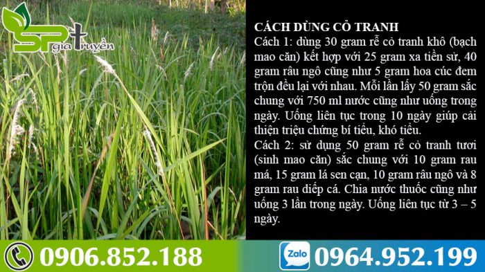 cach-dung-cay-co-tranh