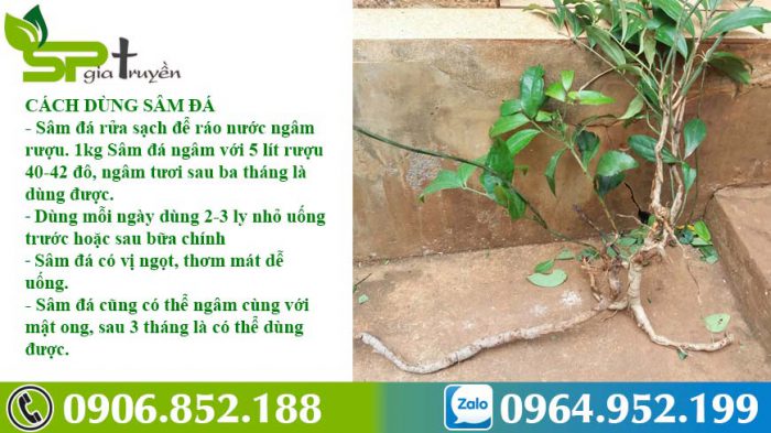 cach-dung-sam-da