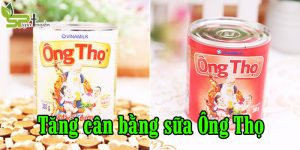 cach-tang-can-bang-sua-ong-tho