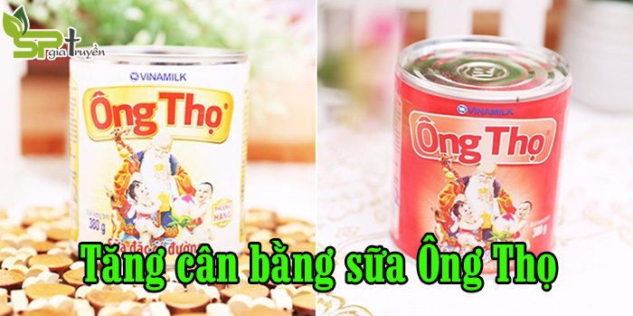 cach-tang-can-bang-sua-ong-tho