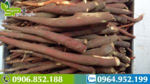 dac-diem-cua-sam-cau