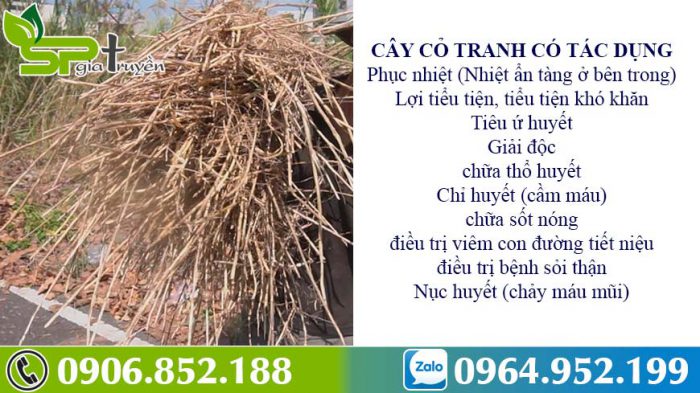 tac-dung-cua-cay-co-tranh