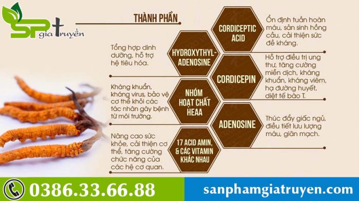 ai-dung-duoc-va-khong-dung-duoc-dong-trung-ha-thao