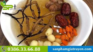 cach-che-bien-dong-trung-ha-thao-1