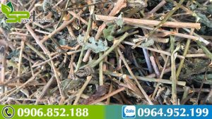 cach-dung-ca-gai-leo-giai-ruou-1