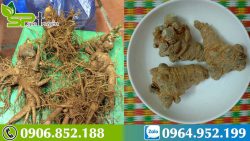 cach-uong-tam-that-chua-u-tuyen-giap-1