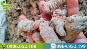 cach-uong-tam-that-sau-sinh-1