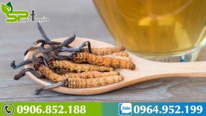 dong-trung-ha-thao-chua-yeu-sinh-ly