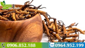 dong-trung-ha-thao-ky-gi