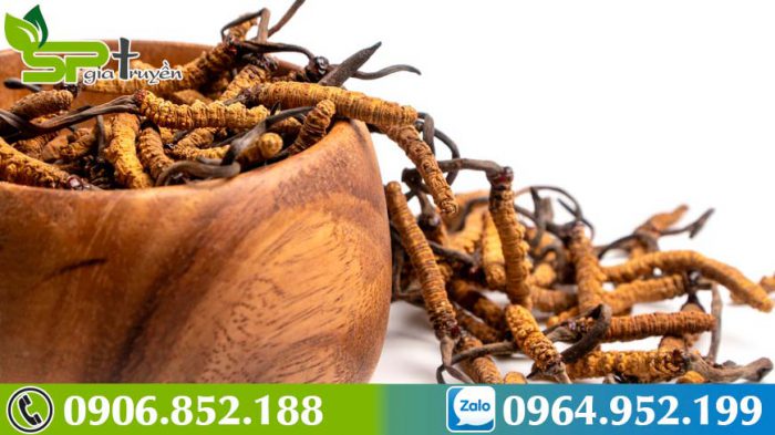 dong-trung-ha-thao-ky-gi