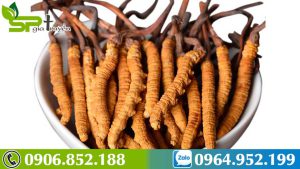 tac-dung-cua-dong-trung-ha-thao-voi-nu-gioi-1