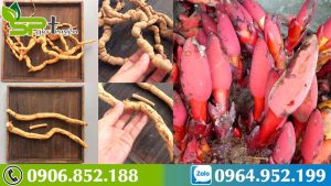 cach-ngam-ruou-ba-kich-va-nam-ngoc-cau-1