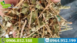 cho-con-bu-co-uong-duoc-ca-gai-leo