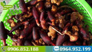 tac-dung-nam-ngoc-cau-voi-phu-nu-1