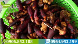 tac-dung-nam-ngoc-cau-voi-phu-nu-1