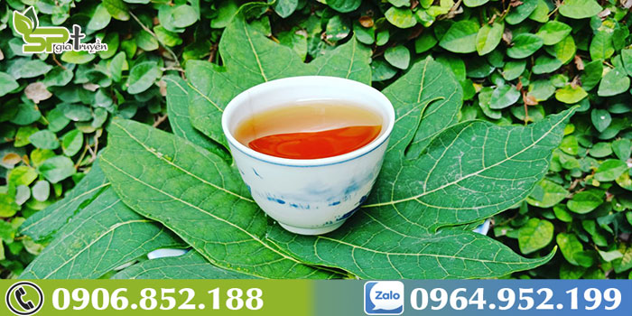 cach-nau-la-du-du-chua-benh-1