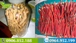 cach-ngam-ruou-sam-cau-voi-ba-kich-1