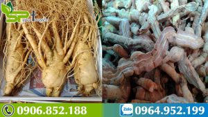 ngam-ruou-ba-kich-voi-sam-han-quoc-1