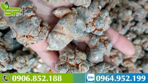 tam-that-vi-thuoc-tot-cho-nhung-benh-nhan-ung-thu