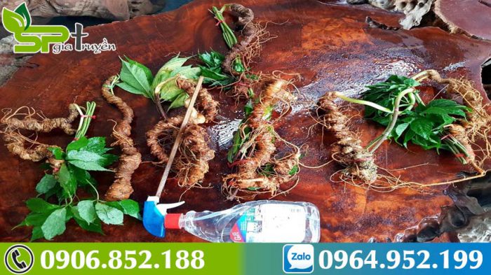 bi-quyet-chong-suy-nhuoc-hieu-qua-nho-su-dung-sam-ngoc-linh