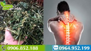 cay-bim-bip-xuong-khi-danh-tan-dau-xuong-khop-ho-tro-benh-ung-thu-3-768x432