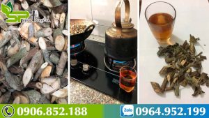 hanh-trinh-di-tim-cay-an-xoa-ho-tro-dieu-tri-benh-gan