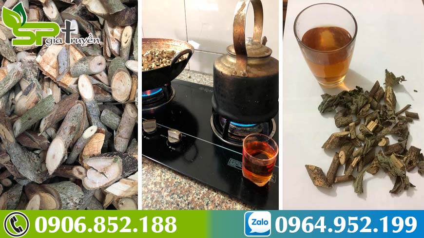 hanh-trinh-di-tim-cay-an-xoa-ho-tro-dieu-tri-benh-gan