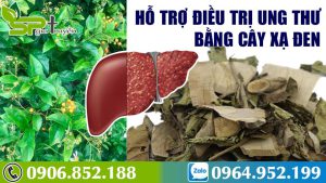 hanh-trinh-di-tim-cay-xa-den-ho-tro-dieu-tri-benh-ung-thu