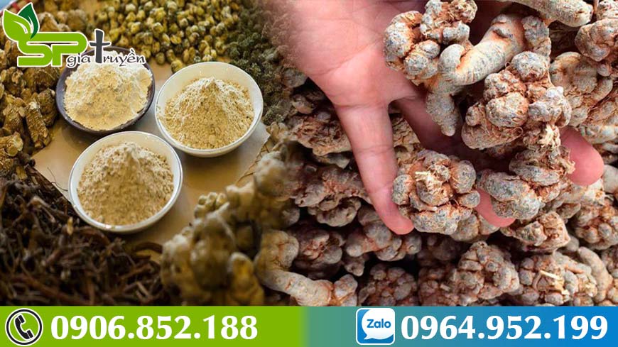 hanh-trinh-di-tim-tam-that-bac-ho-tro-dieu-tri-benh-gan