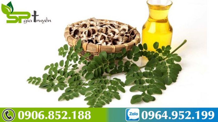 su-that-tac-dung-bat-ngo-cua-hat-chum-ngay