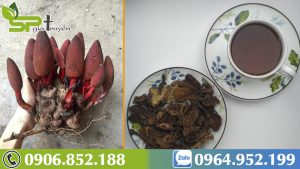 kham-pha-tac-dung-cua-nam-ngoc-cau-doi-voi-phu-nu