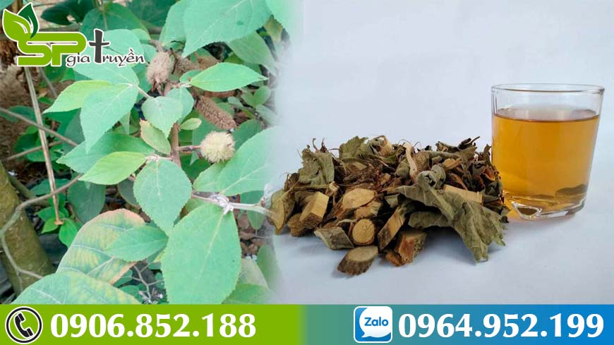 cac-van-de-cua-mot-la-gan-khong-khoe-manh