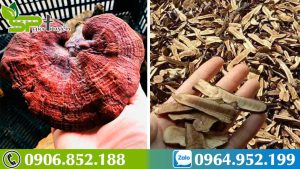 nam-lim-xanh-tri-benh