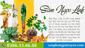 su-dung-sam-ngoc-linh-bi-quyet-de-co-duoc-mot-co-the-khoe-manh