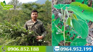 su-nguy-hiem-khi-su-dung-cay-an-xoa-sai-cach