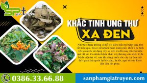 su-that-bat-ngo-cay-xa-den-dieu-tri-benh-gan-hieu-qua