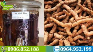 su-that-tac-dung-ho-tro-dieu-tri-benh-cua-ba-kich-tim-ngam-ruou