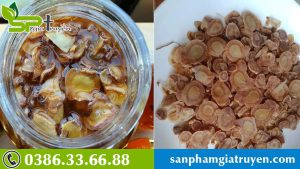 cai-thien-he-ho-hap-voi-sam-ngoc-linh-mat-ong