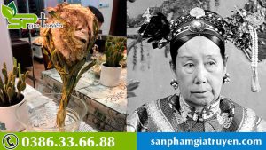 thien-son-tuyet-lien-bi-quyet-giup-tu-hy-thai-hau-truong-tho