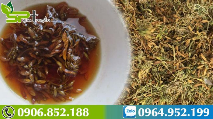 vach-tran-7-tac-dung-khong-ngo-tu-hoa-du-du-duc-ho-tro-dieu-tri-ung-thu