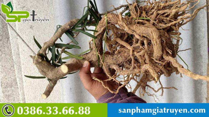 kham-pha-tac-dung-cua-xao-tam-phan-doi-voi-suc-khoe