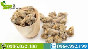 tam-that-vi-thuoc-tot-cho-nhung-benh-nhan-ung-thu