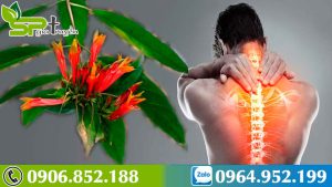 xoa-dieu-con-dau-xuong-khop-voi-cay-bim-bip